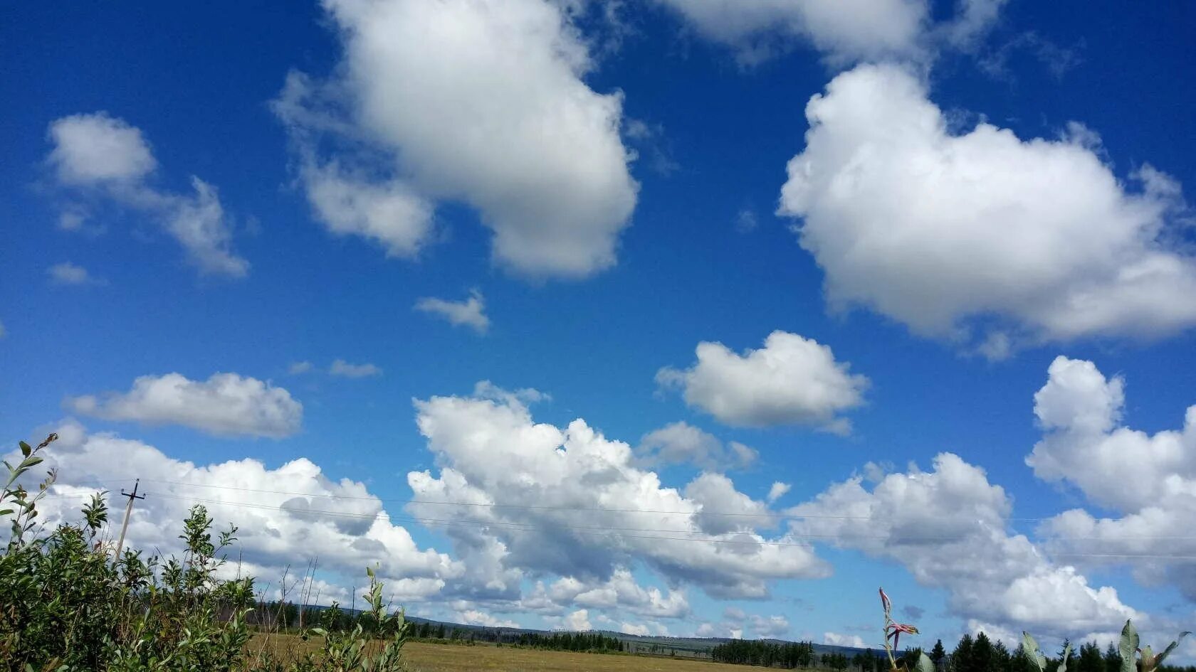 Cloud в россии. Летнее небо. Красивые облака. Небо с облаками. Красивое небо.