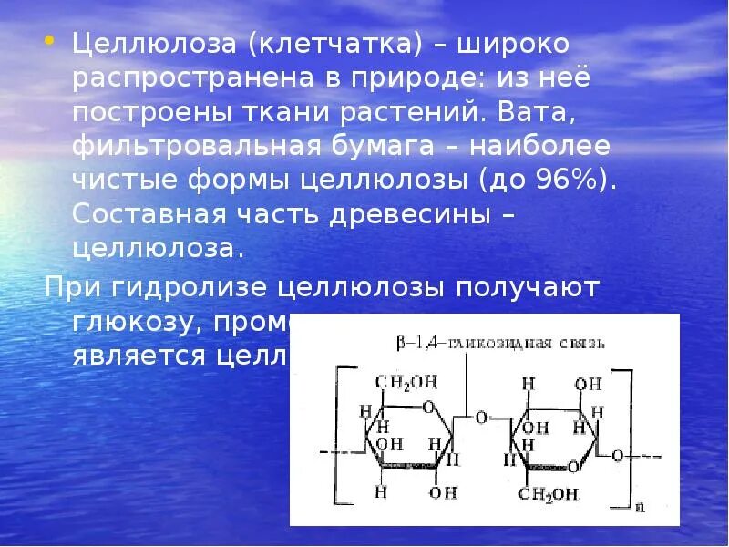 Содержание целлюлозы. Целлюлоза в динитрат целлюлозы. целлюлоза клетчатка. целлюлоза строение.