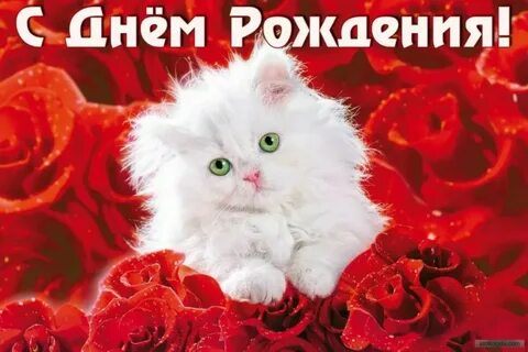 Красавице 8 лет