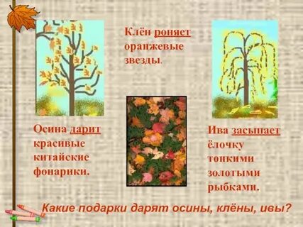 Ива осыпала елочку тонкими золотыми листочками
