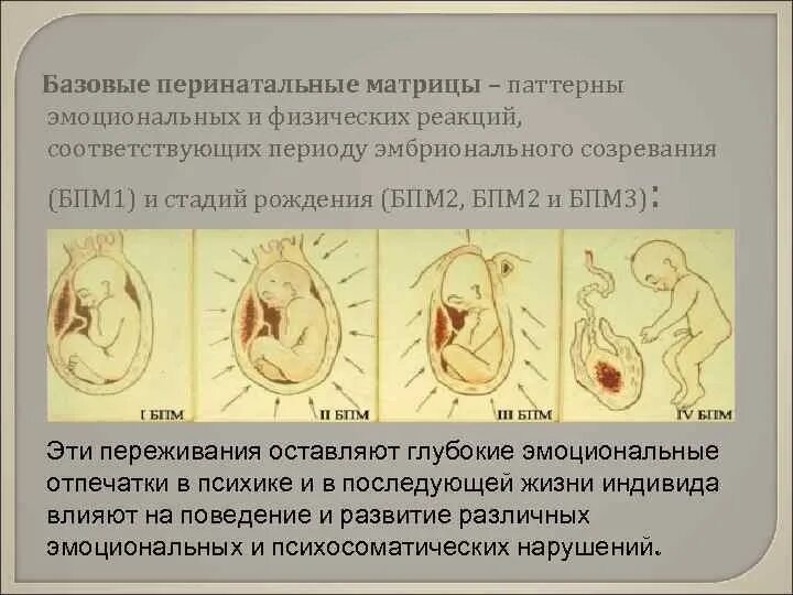 Матрица грофа психология. Матрица грофа психология