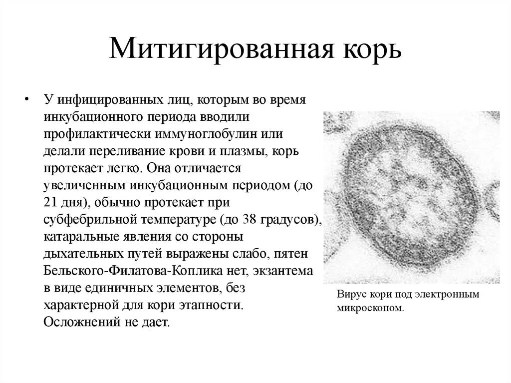 Корь инкубационный период у детей. Митигированная корь осложнения. Корь Продолжительность инкубационного периода. Корь симптомы у детей лечение инкубационный