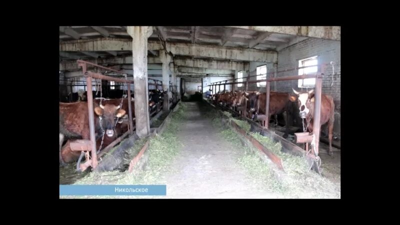 Делу спк. Колхоз спк заря рамешковский район. спк заря новоржевский район псковская область. спк заря можгинский район. спк заря самарская область хворостянский район.
