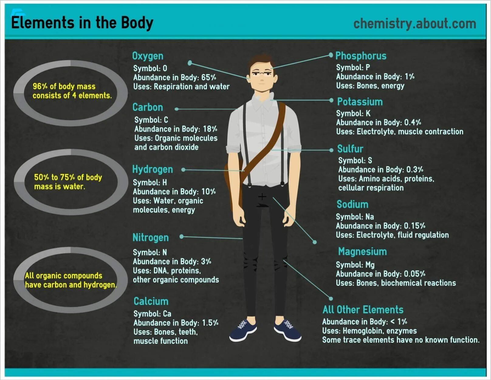 Chemical elements in the Human body. Function body. Facts about Human body. Body elements.