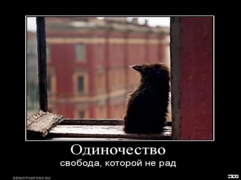 Ничему не рад