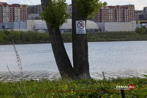 Первоуральск 96