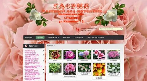 Интернет магазин родники ивановская область