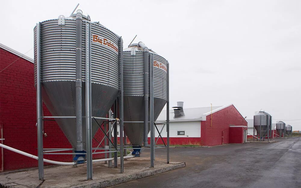 агрофирма ариант красногорский. агрофирма ариант красногорский. агрофирма ариант красногорский. красногорский элеватор ариант. ооо агрофирма ариант п красногорский.