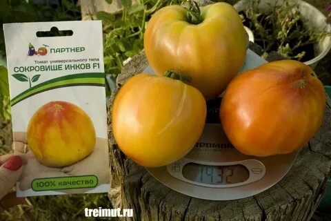 Инком партнер