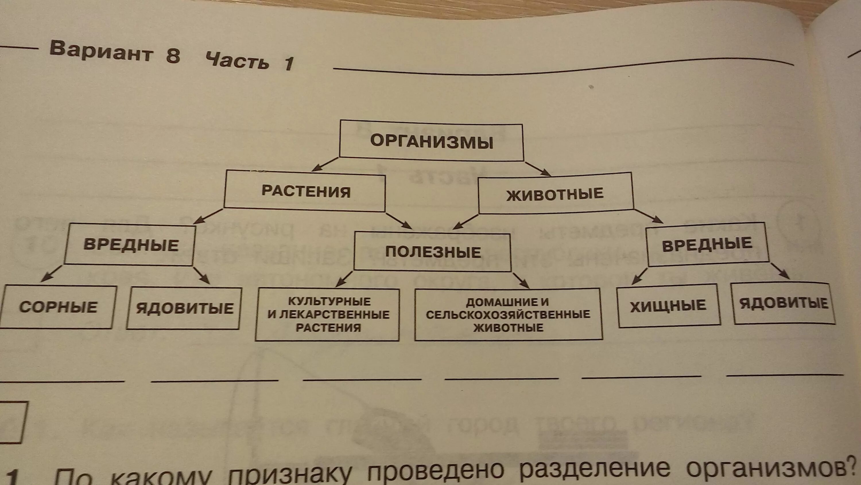 Дополни схему значение питания КОНТРОЛЬНАЯ РАБОТА № 6. ВАРИАНТ 1 КОНТРОЛЬНЫЕ РАБОТЫ ПО ИНФОРМАТИКЕ В 3 КЛАССЕ