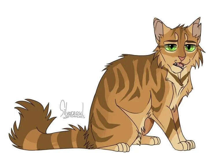 Котом метеор. Crookedstar коты воители. яблочник коты воители. коты воители метеор. яблочник коты воители арт.
