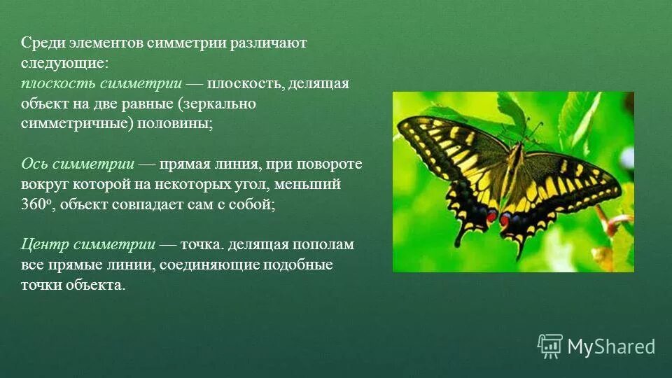 Среди элементов. Среди элементов