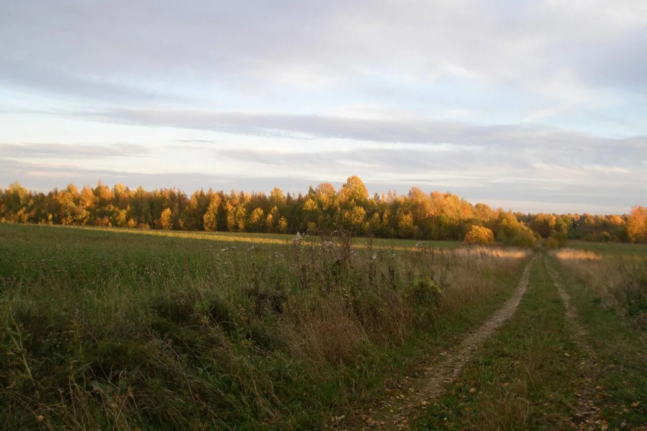 Деревня земли. Село землянщина белгородской области. Деревня земли. Ежева деревня. Участок рядом с лесом.