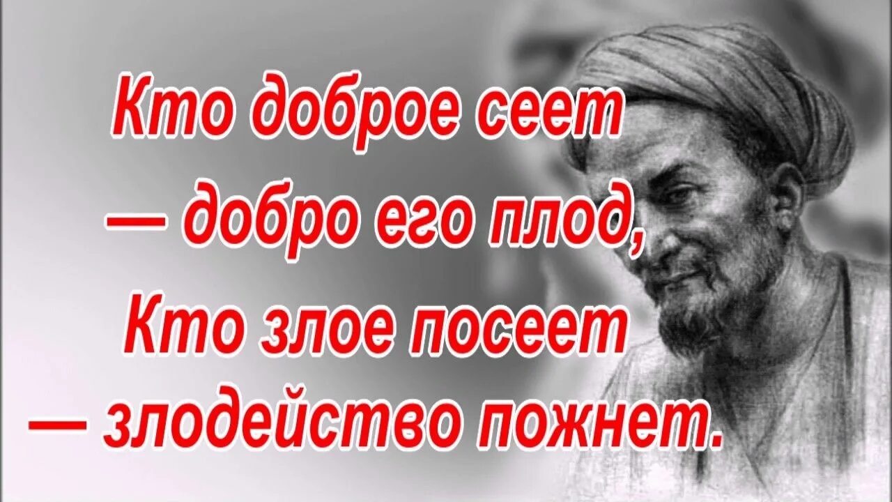 Что посеял то и получай