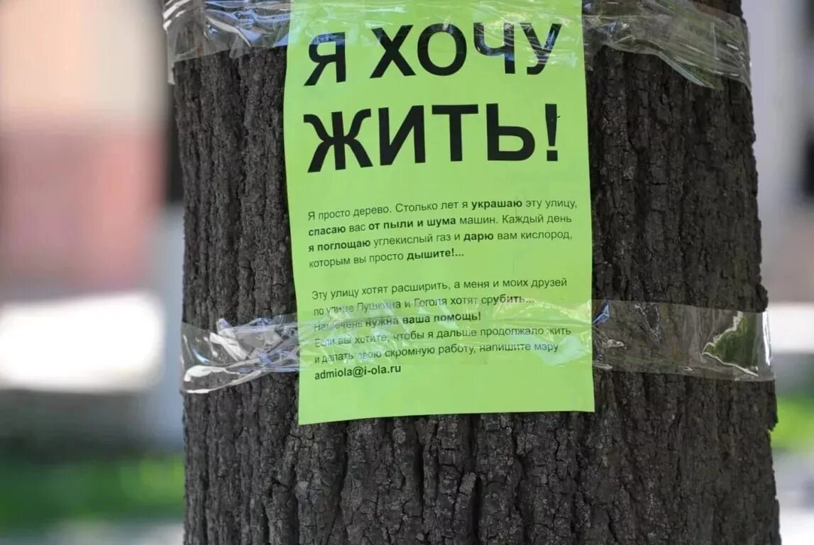 Против вырубки деревьев. Объявление на дереве. Против вырубки лесов. Плакат против вырубки деревьев. Рубит лист