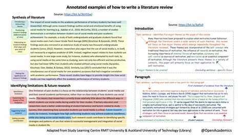 lit review introduction example - www.bhoutanvoyage.fr.