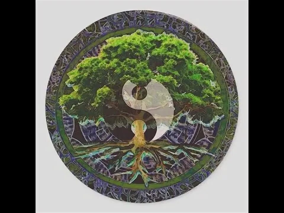 Иньское дерево. Года дерева инь. Древо жизни инь янь. Дерево инь янь. Дерево инь янь.