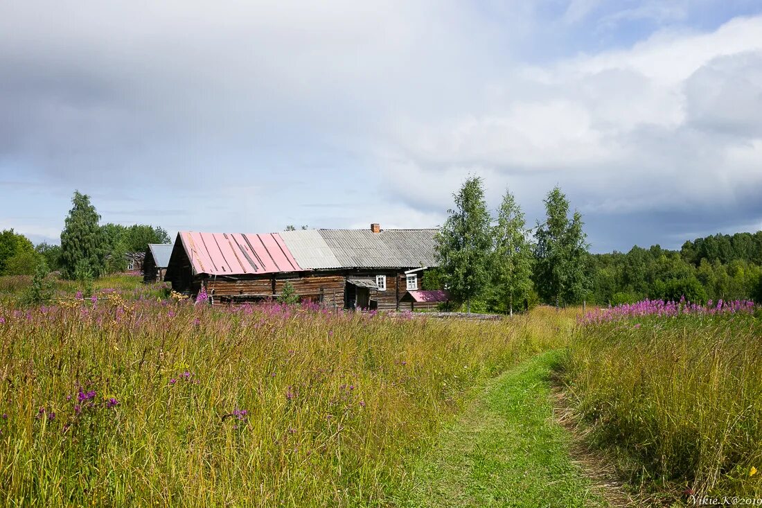 Деревня дубки московская область. Вечер в деревне. Карельская деревня петрозаводск. Загорание бани. Письмо под диктовку 2 класс клички животных.