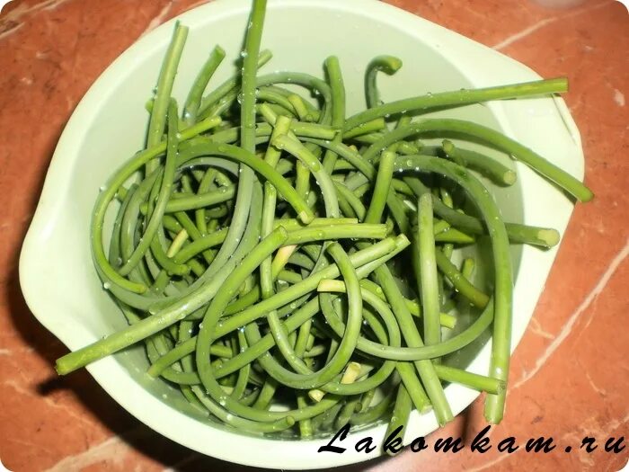 Закуска из чесночных стрелок. Квашеные чесночные стрелки. Чесночные стрелки пошагово. Стрелки чеснока. Чесночные стрелки пошагово.