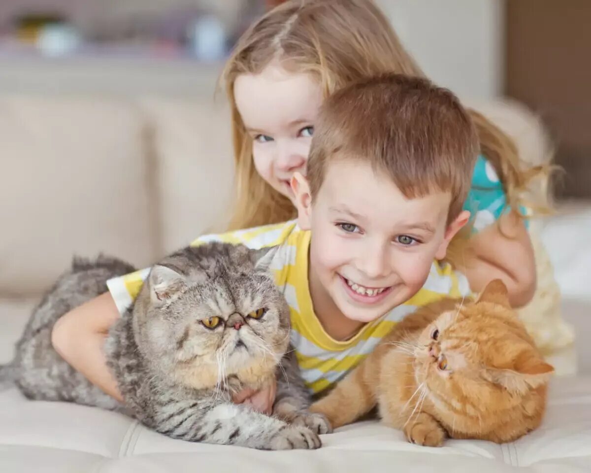 I play with cat. Кошка для детей. Котёнок-ребёнок. Домашние питомцы для детей. Дети и питомцы.