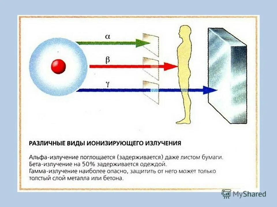 Виды ионизированных излучений. Ионизирующее излучение Альфа бета гамма. Биологические действия радиоактивного излучения Альфа лучей. Действие ионизирующего излучения на различные объекты. Биологическое влияние Альфа излучения.