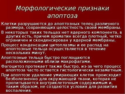 Признаки клетки