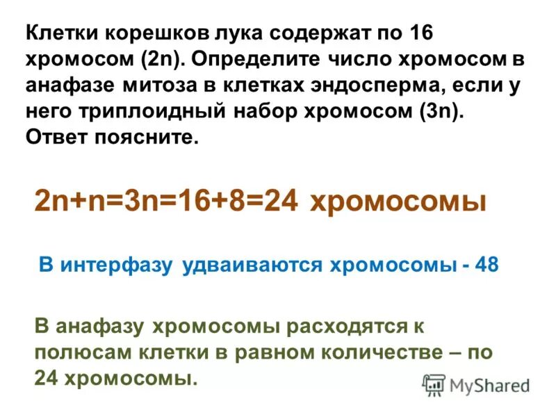 Сколько хромосом содержит клетка эндосперма. Набор хромосом в клетках эндосперма. Эндосперм набор хромосом. Митоз клетки эндосперма.