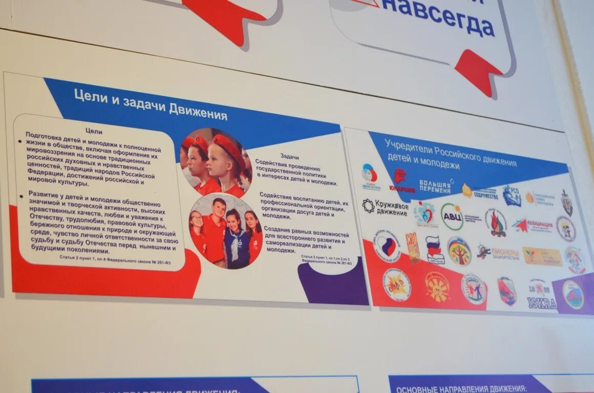 В какую программу включить мероприятия рддм. В какую программу включить мероприятия рддм