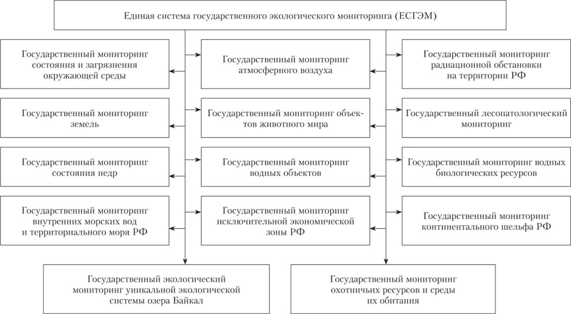 Национальной экологической системы. Государственный экологический мониторинг подсистемы. Структура экологического мониторинга в РФ. Организация системы экологического мониторинга. Структурная схема мониторинга природной среды.