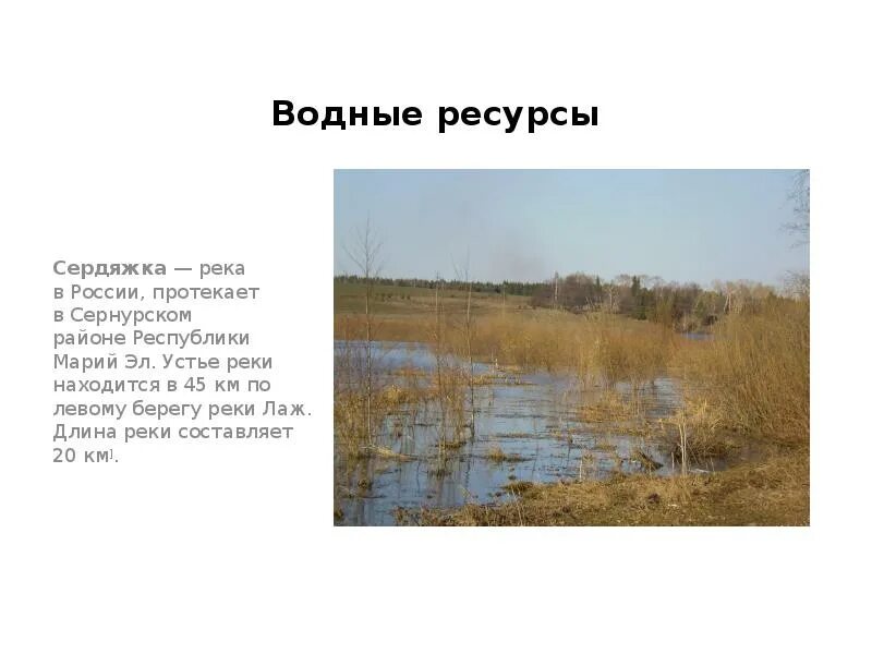 Водные богатства республики татарстан. Река Сердяжка. Водные богатства Республики Марий Эл. Водные богатства Марийского края. Водные богатства Сернурского района.