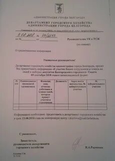 Выборы в администрацию города