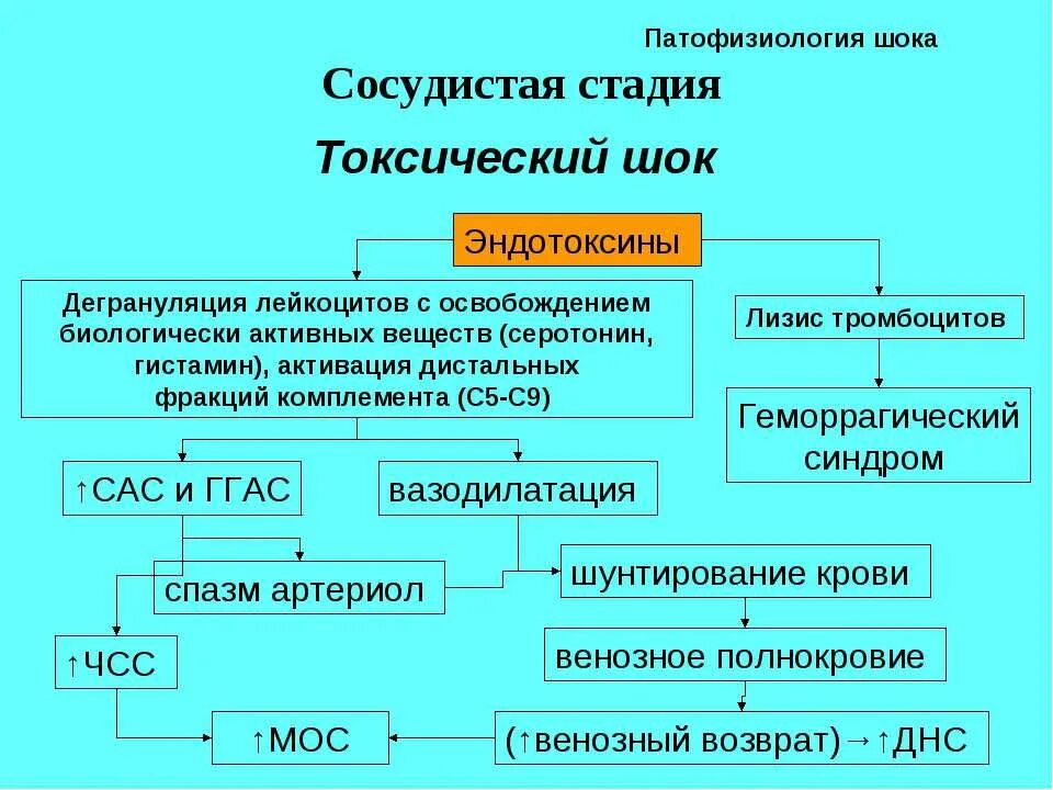 Стрептококковый шок. Синдром токсического шока механизм развития. Синдром токсического шока схема. Синдром токсического шока патогенез. Токсический ШОК схема.