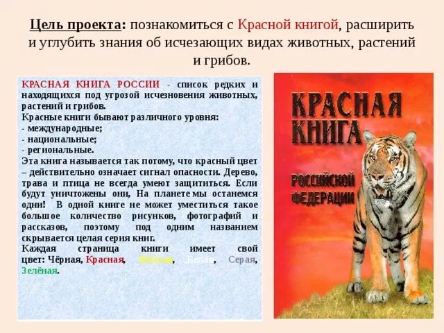 Доклад по окружающему миру 2 класс красная книга животные и растения. Сообщение о красной книге 2 класс окружающий мир. Проект красная книга России. Проект на тему красная книга России. Сделать красную книгу окружающий мир