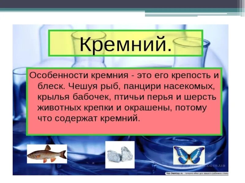 Кремний презентация. Урок презентация кремний. Кремний и его соединения. Презентация по теме кремний и его соединения. Соединения кремния презентация 9 класс