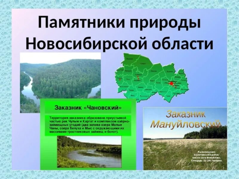 Новосибирская область описание. Памятники природы нсо. природные комплексы новосибирской области. охрана природы новосибирской области. новосибирская область презентация.