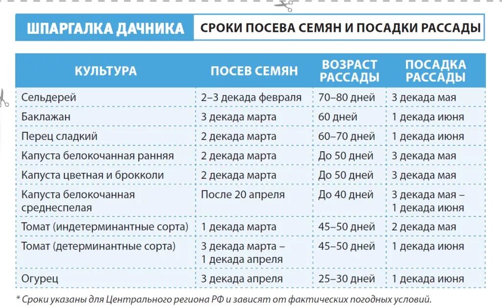 Сроки высадки капусты. Таблица сроков посадки капусты рассаду. Сроки посева семян на рассаду. Таблица сроков посева семян на рассаду. Сроки посева семян таблица.