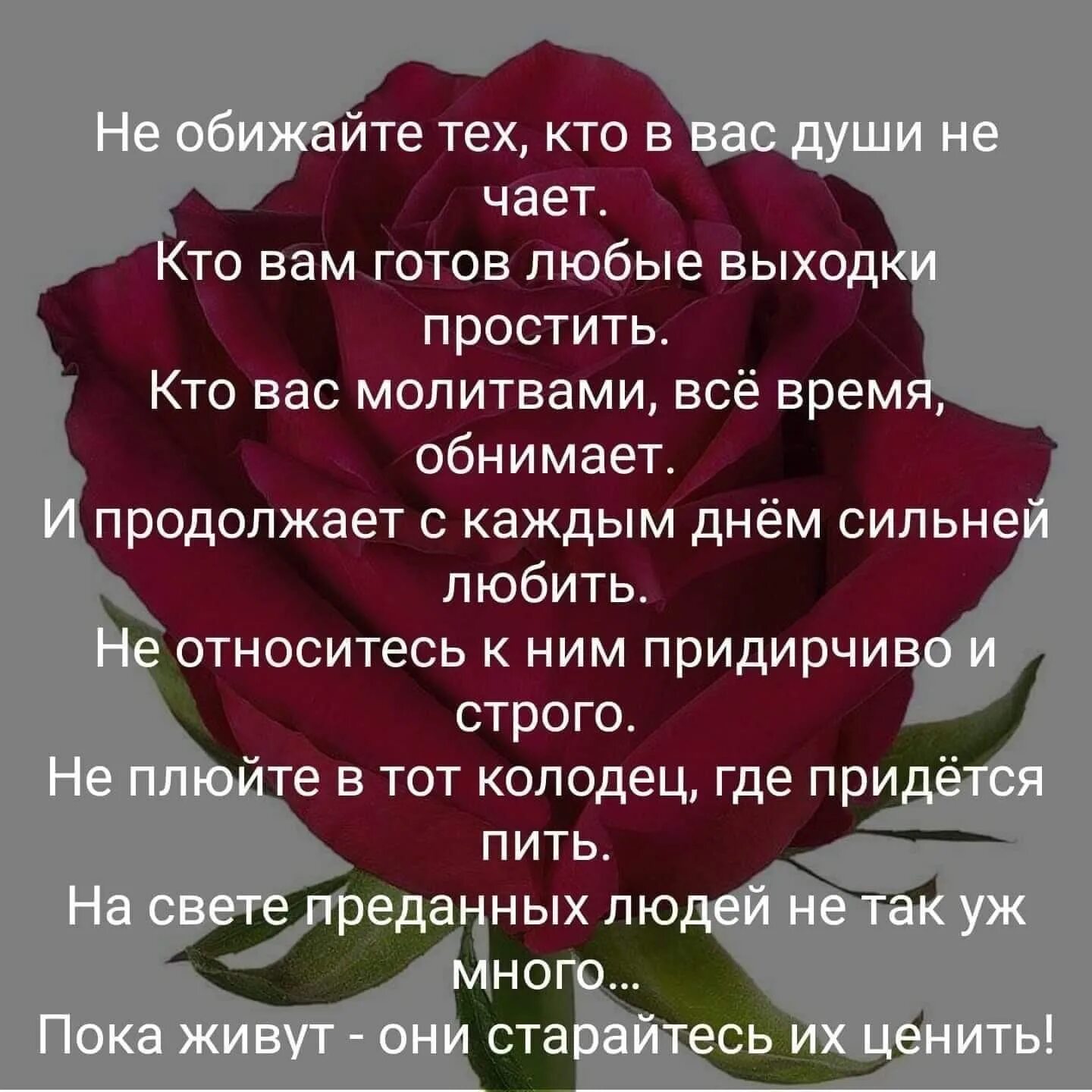 Не обижайте тех кто вас души не чает стих. Не обижайте тех кто в вас души не чает Автор. Не обижайте тех кто в вас души. Цените тех кто вас души не чает.