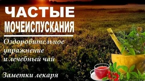 Лечение мочеиспускания у мужчин народными средствами