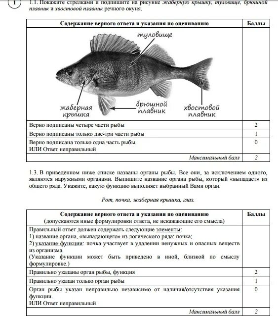 Решать задания впр по биологии 5 класс