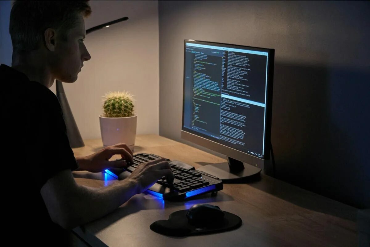 Свой проект программисту
