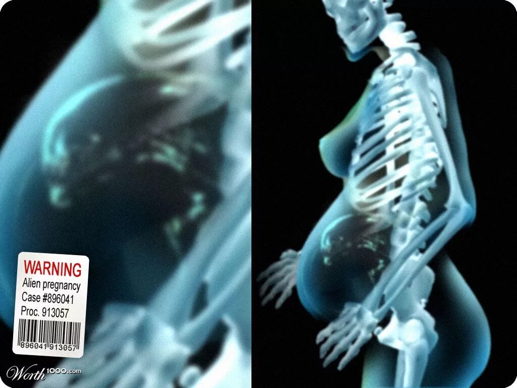 фотосессии беременной с тыквами. фотосессия с беременной сестрой. беременность чужой женщины. фотосессия с беременной подругой. беременность чужой женщины.