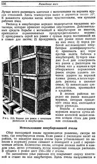 Какой день пчел