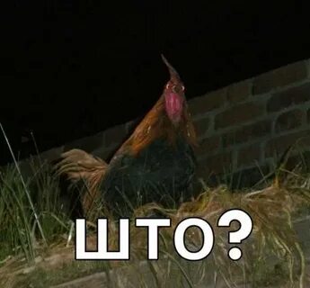 Снял петушка