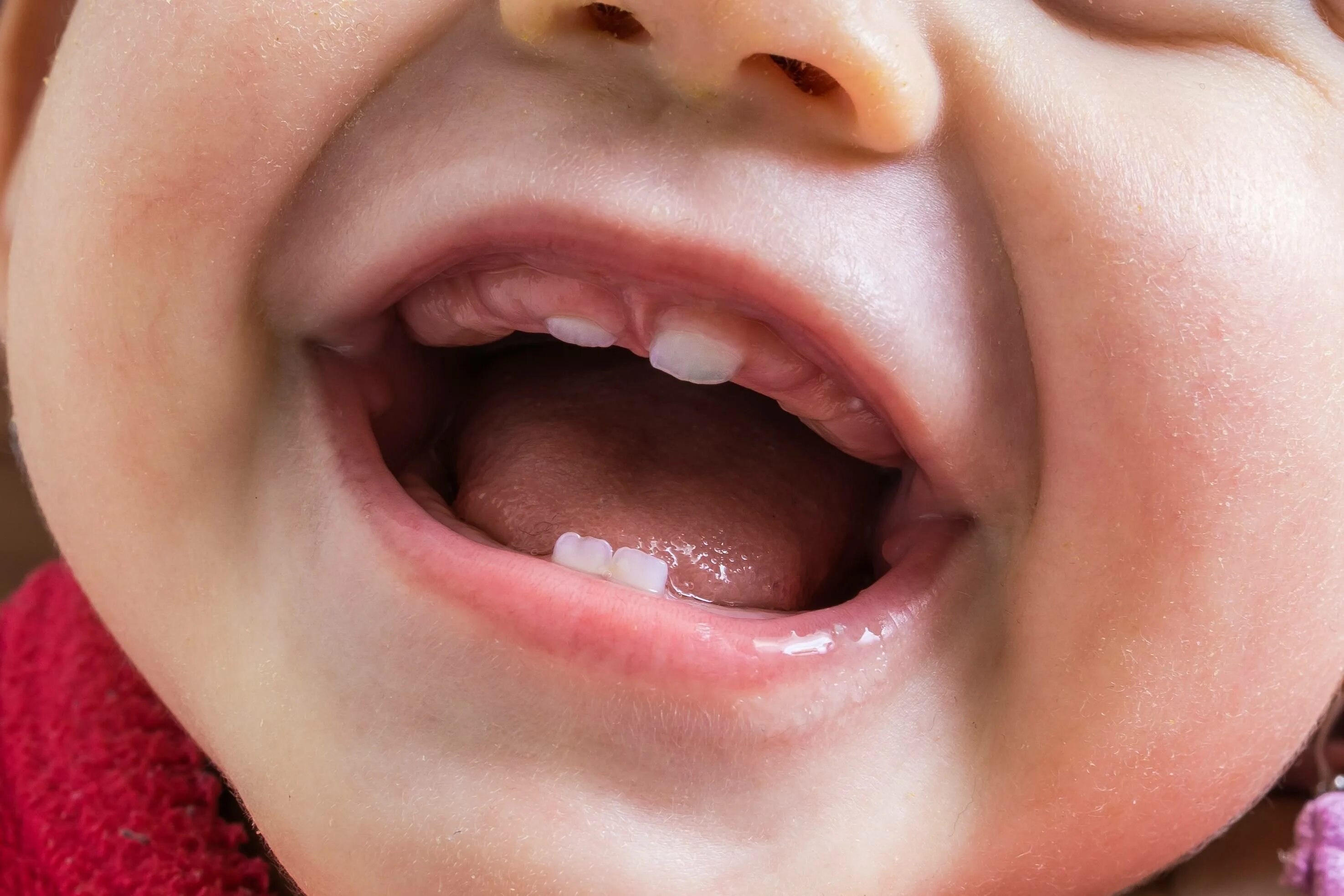 Первые зубы возраст. Прорезывание зубов у грудничков.