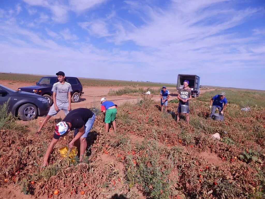 Погода в лапасе. Село Лапас Харабалинский район. Астраханская область Харабалинский район село Сасыколи. С.Сасыколи Харабалинского района. Крестьянского хозяйства «придорожное» Харабалин-ского.