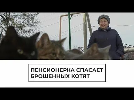 Спасти бросила