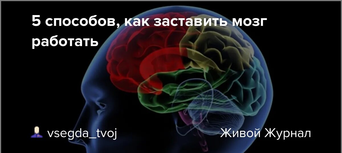 Почему плохо работает мозг. Заставить мозг работать. как заставить мозг работать. как заставить мозг работать лучше. мозг хорошо поработал.