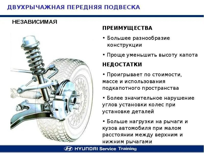 Из чего состоит передний