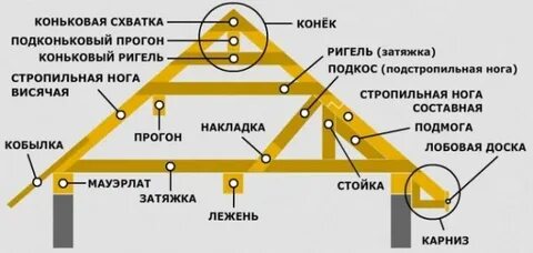 Размер кобылки