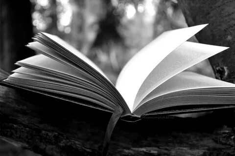Книжка черное белое